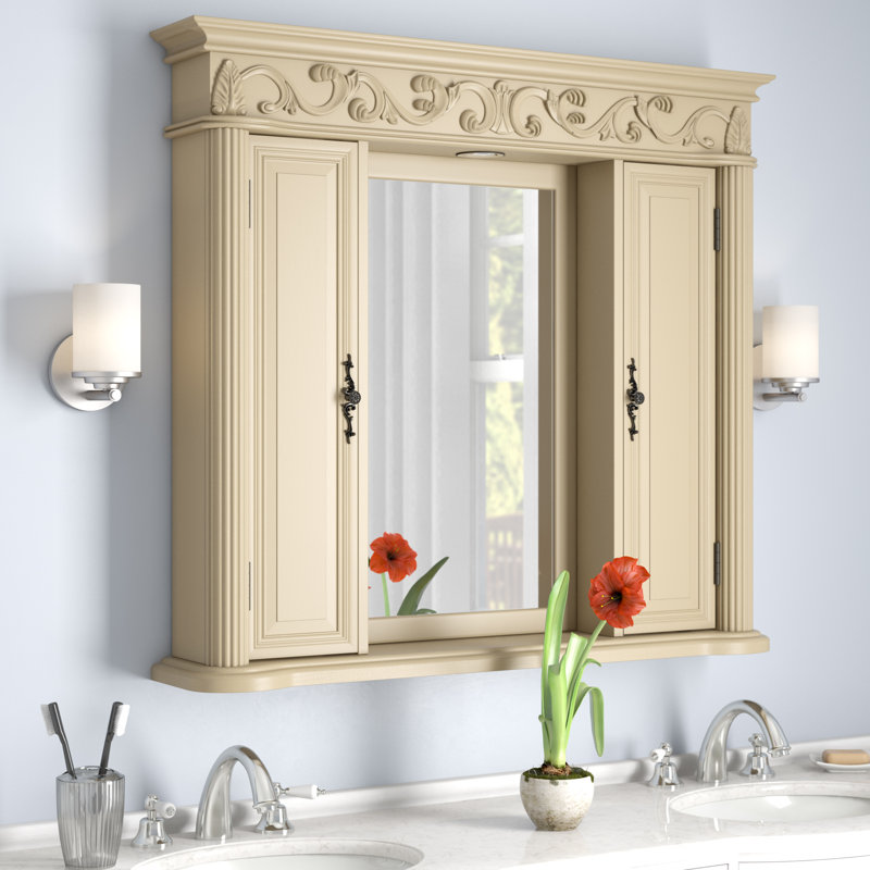 Astoria Grand Alexis Surface Mount Framed 2 Door Medicine with